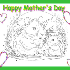 Colour Me In Activity Mother's Day Greeting Card Hamster Mum & Baby 