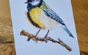 Art Prints