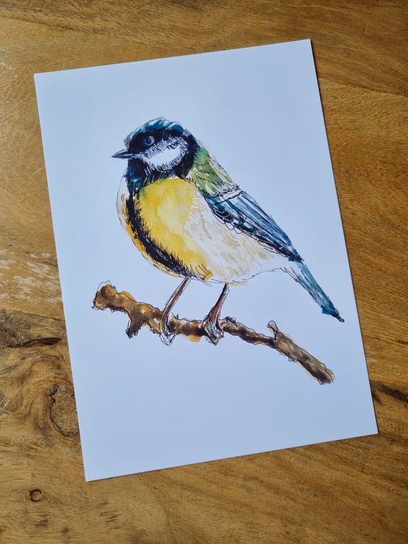 Great Tit - Fine Art A5 Print