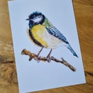 Great Tit - Fine Art A5 Print