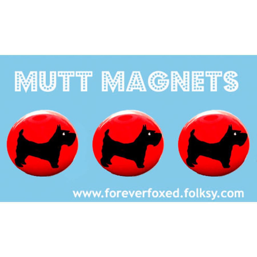 Scottish Terrier Magnets