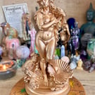 Aphrodite Goddess Statue Resin 3D Printed with Detailed Floral, waves and shell