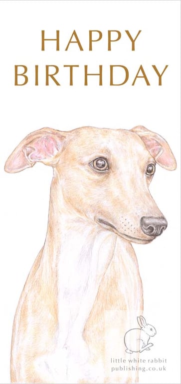 Oscar the Whippet - Birthday Card