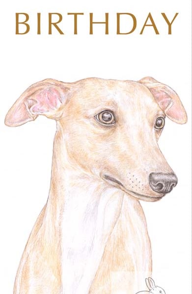 Oscar the Whippet - Birthday Card