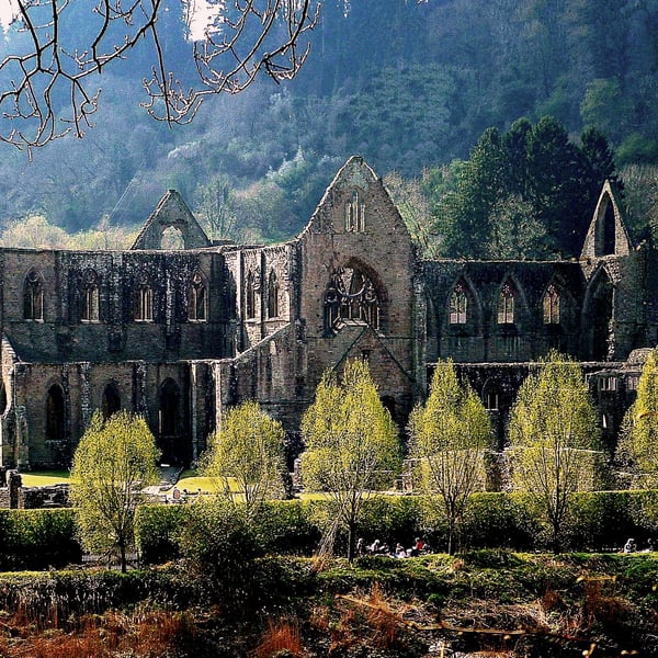 Tintern Abbey Monmouthshire Wales. Greeting cards