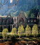 Tintern Abbey Monmouthshire.