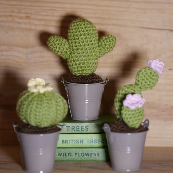 Crochet Cacti, yellow and pink flowers, set of three in metal buckets. 