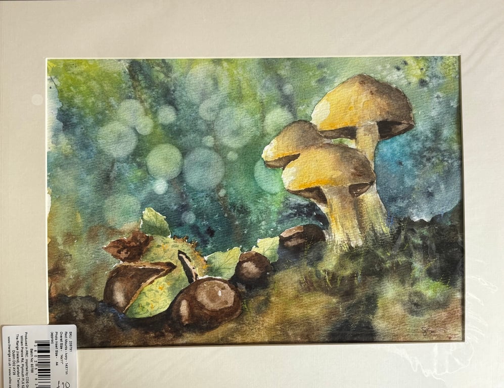 Autumn in the Forest