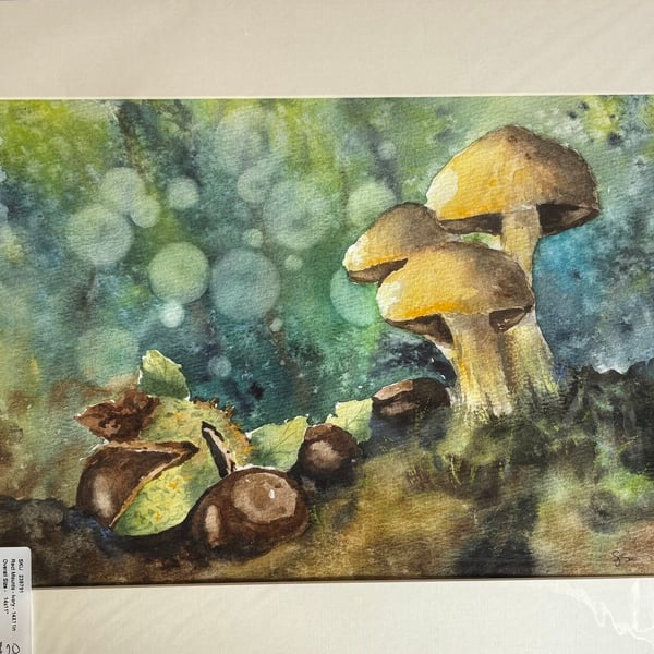 Autumn in the Forest