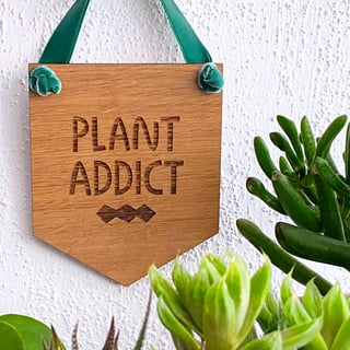 Gifts for plant lovers, wooden wall hanging banner, inspirational quote for her