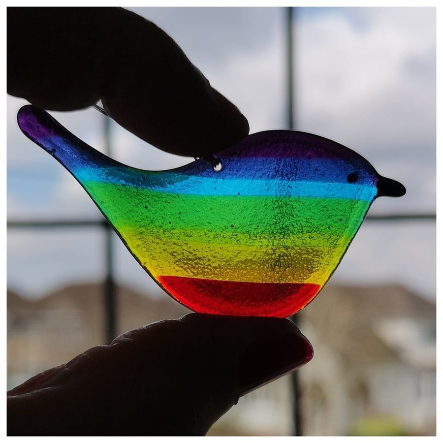 Rainbow Wren of Hope bird on silver thread. 