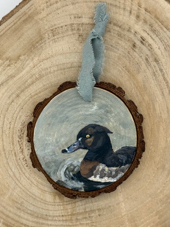 Original Tufted Duck Bird Portrait Decoration 