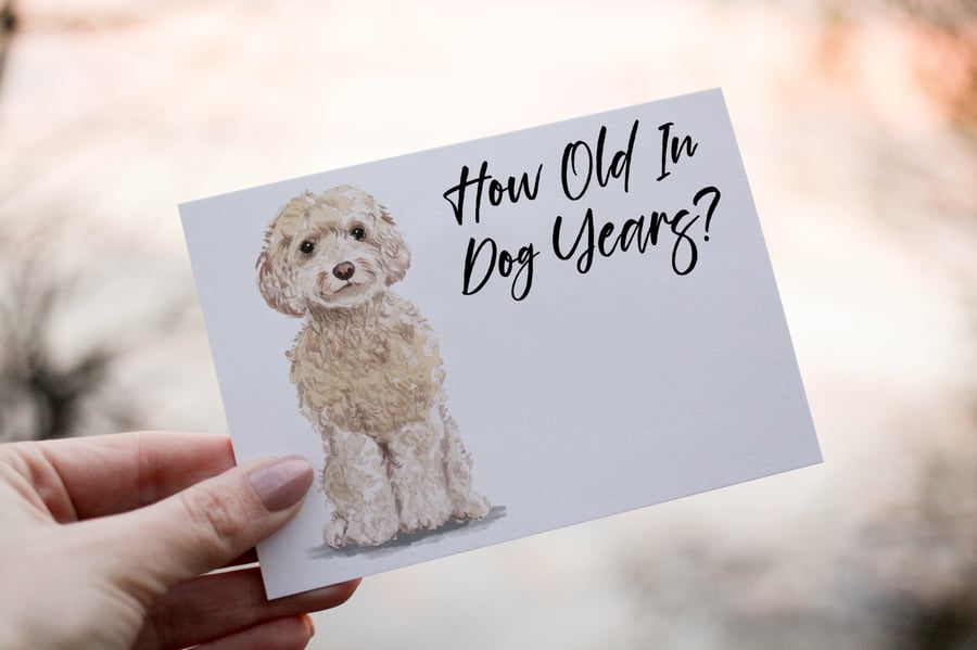 Cockapoo Champagne Dog Birthday Card, Dog Birthday Card, Personalized Dog Breed