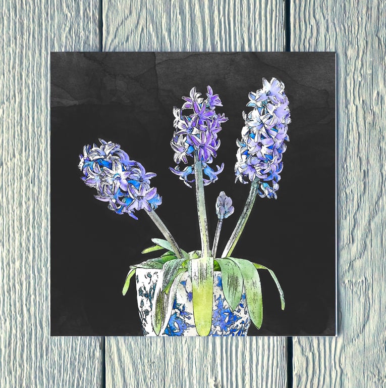 Three Hyacinths, Greetings Card