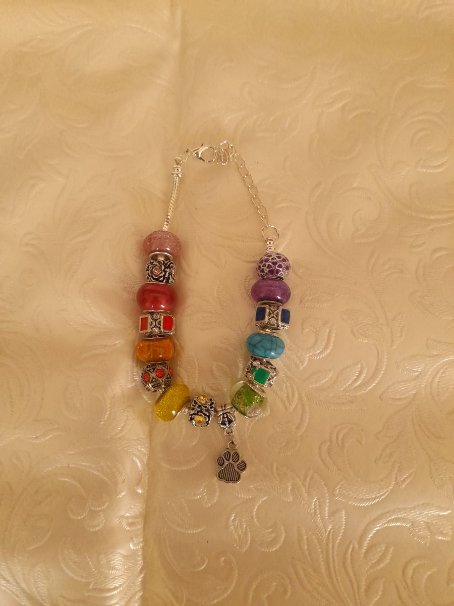 PANDORA Style Paw bracelets Rainbow of Hope