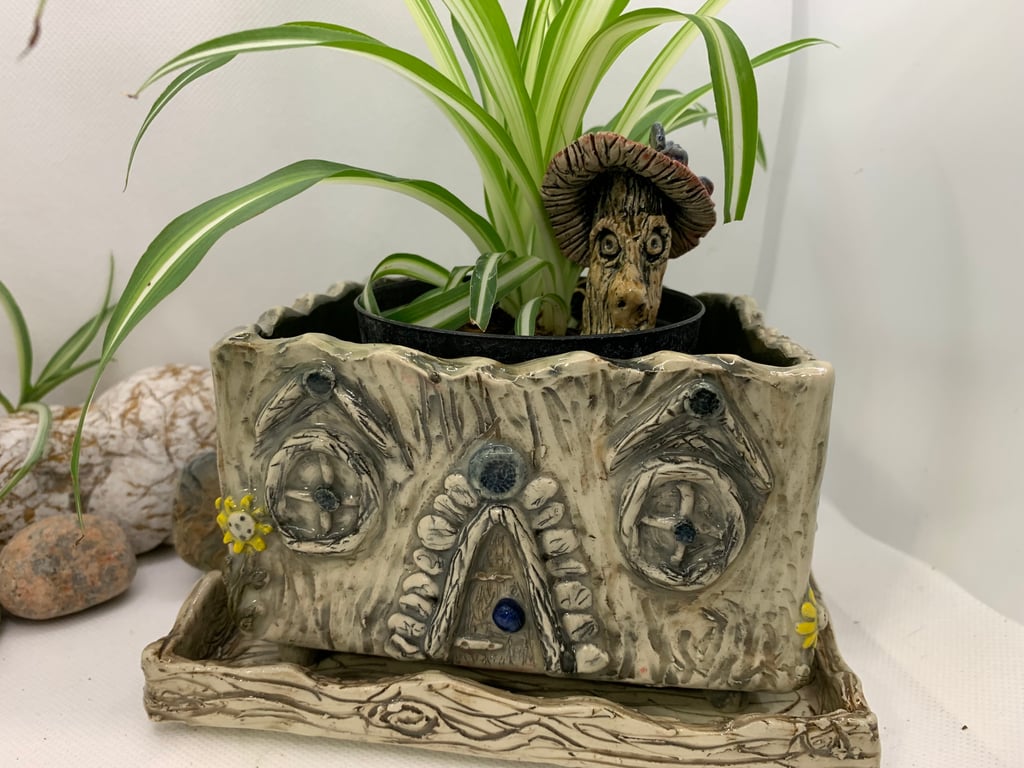 House themed  plant pot