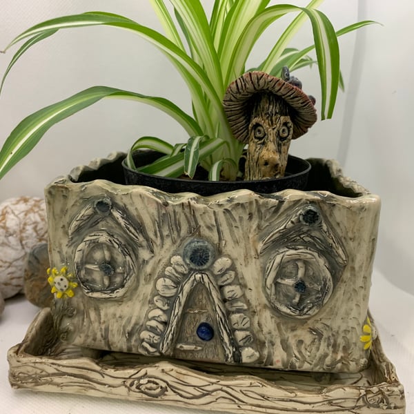 House themed  plant pot