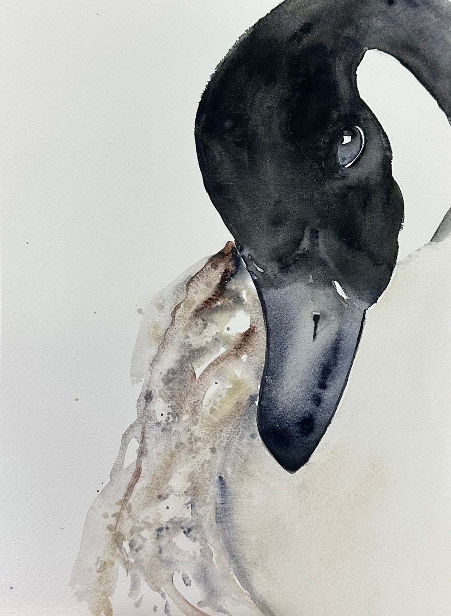 Canada Goose watercolour original painting