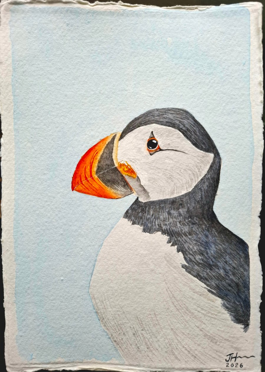 Puffin Portrait Original Watercolour Painting