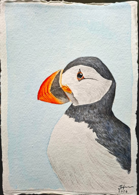 Puffin Portrait Original Watercolour Painting