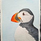 Puffin Portrait Original Watercolour Painting