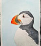 Puffin Portrait Original Watercolour Painting