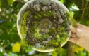 Fibre Art
