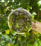 Moss Hand Woven Circular Wall Hanging - Image 5