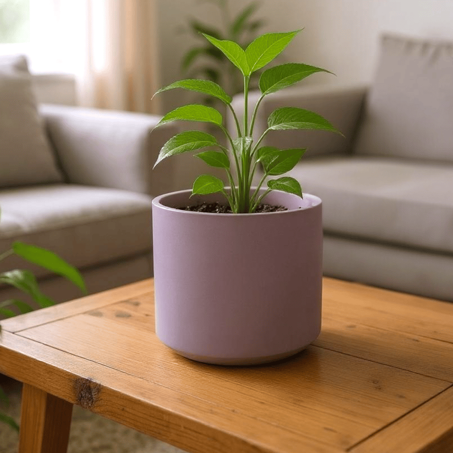 Large Round Lilac Plant Pot Holder - Mauve 15 cm Planter