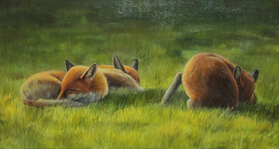 Sleeping Foxes Oil Painting, Original Animal Artwork, 26x14