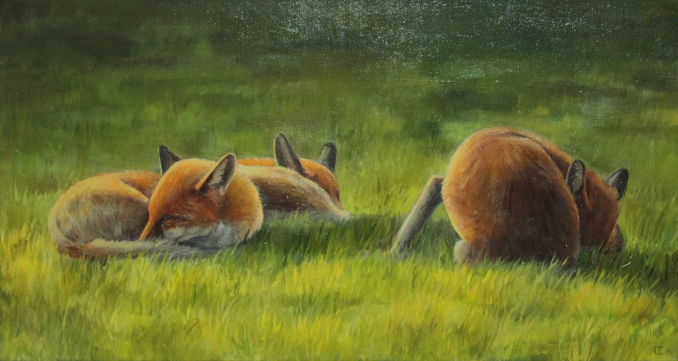 Sleeping Foxes Oil Painting, Original Animal Artwork, 26x14