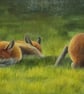 Sleeping Foxes Oil Painting, Original Animal Artwork, 26x14