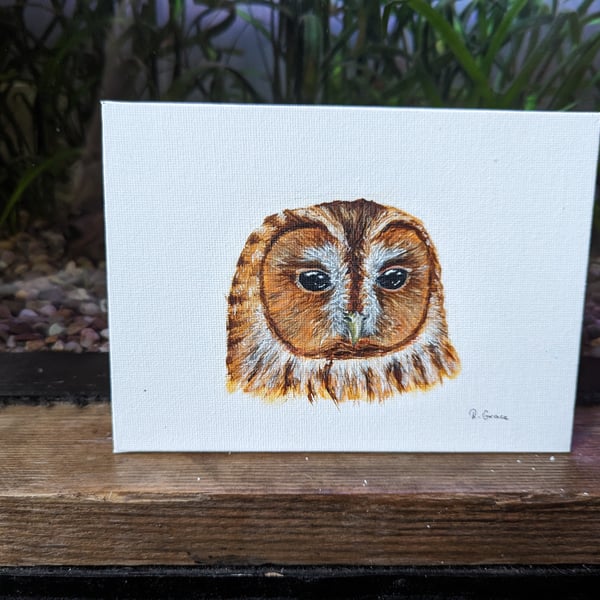 Tawny Owl Acrylic Portrait Painting 