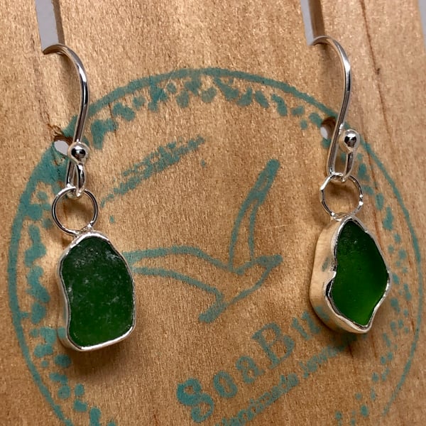 Emerald Green Sea Glass  and Sterling Silver Drop Earrings - 1105