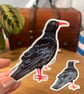 Cornish Chough Sticker - Cornwall Stickers  - Image 1