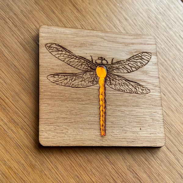 Dragonfly Coaster