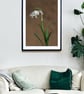 A single Snowdrop flower print - Image 2