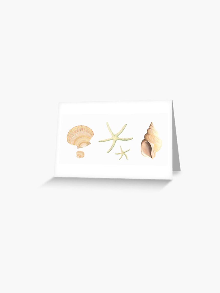 Seconds Sunday blank greeting card sea shells beach wedding, birthday, notecard