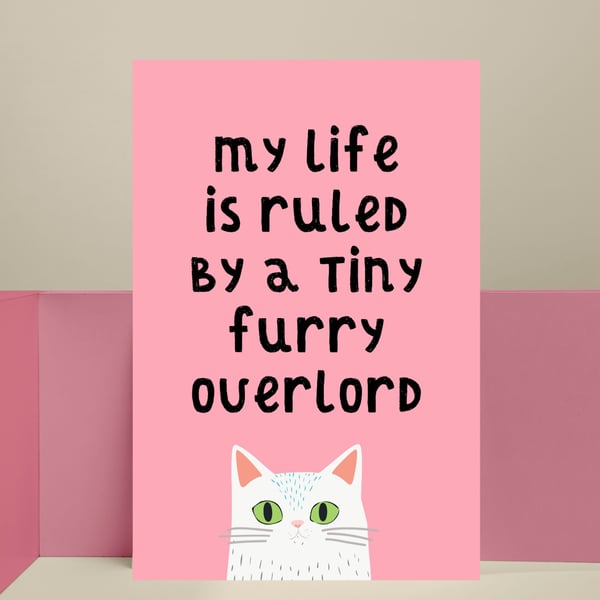 Funny Cat Poster - My Life Is Ruled by Tiny Furry Overlord - White Cat & Pink 