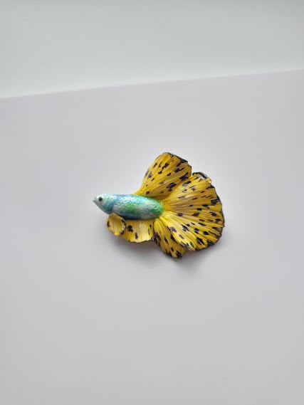 Handmade Polymer Clay Brooch - Sunspot Serenity Betta Pin