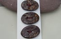 medium oval buttons