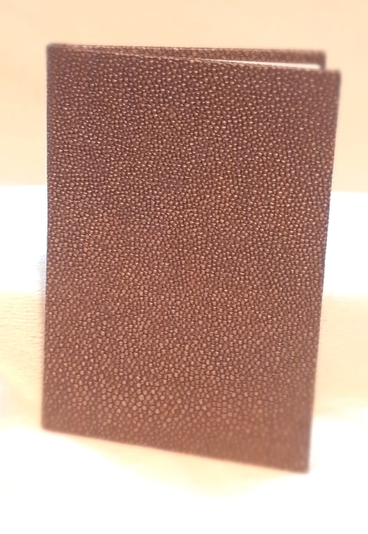 "Dragon skin" notebook (A6)