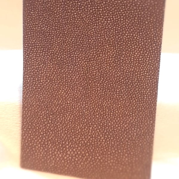 "Dragon skin" notebook (A6)