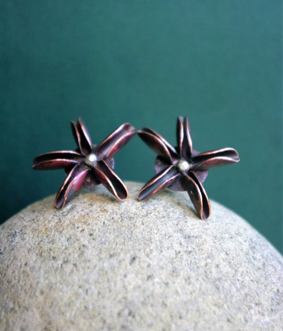 Star Anise Copper Earrings