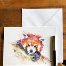 Red Panda Card, A5 blank greeting card with a watercolour red panda design