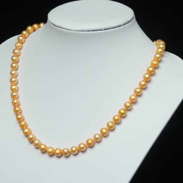 Golden Yellow Freshwater Pearl Necklace