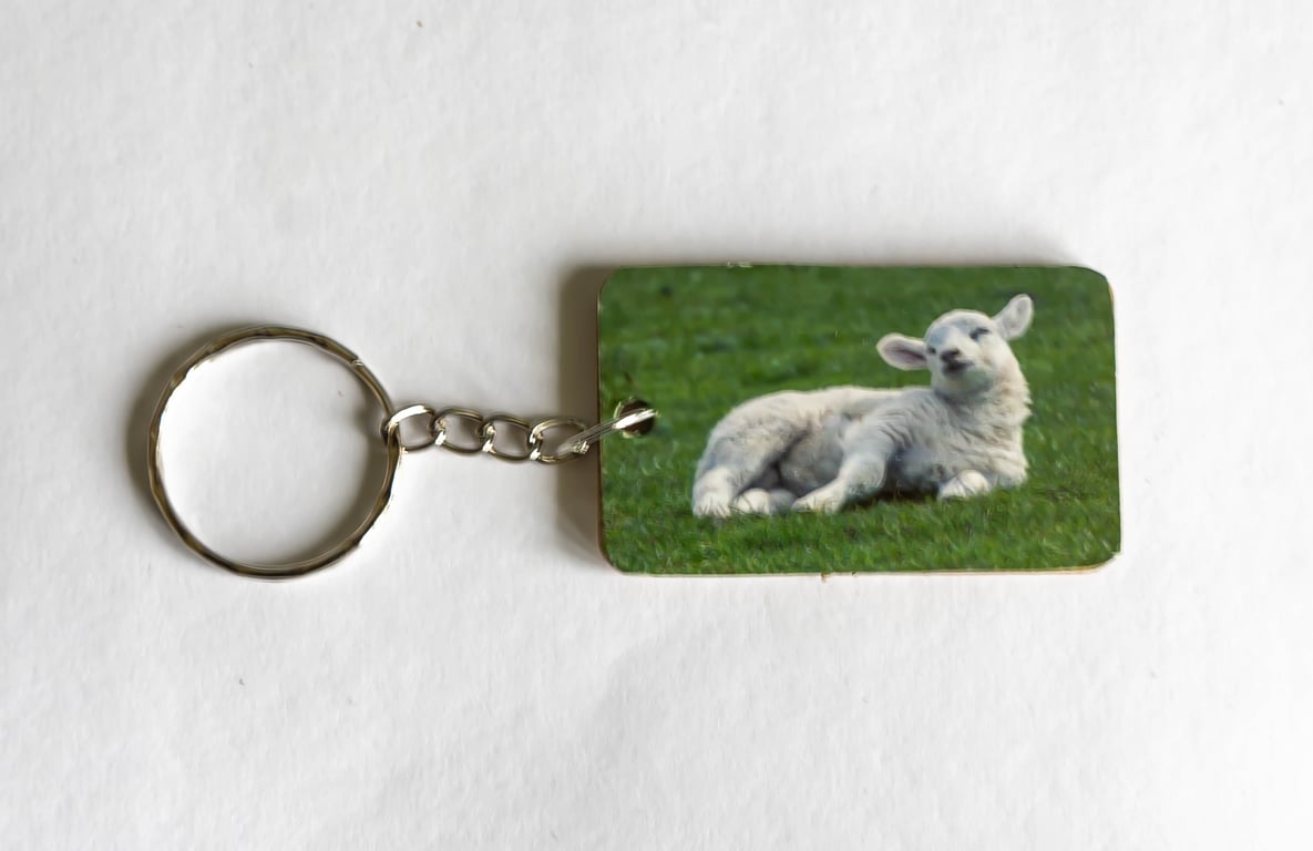 Sleepy Lamp Wooden Keyring