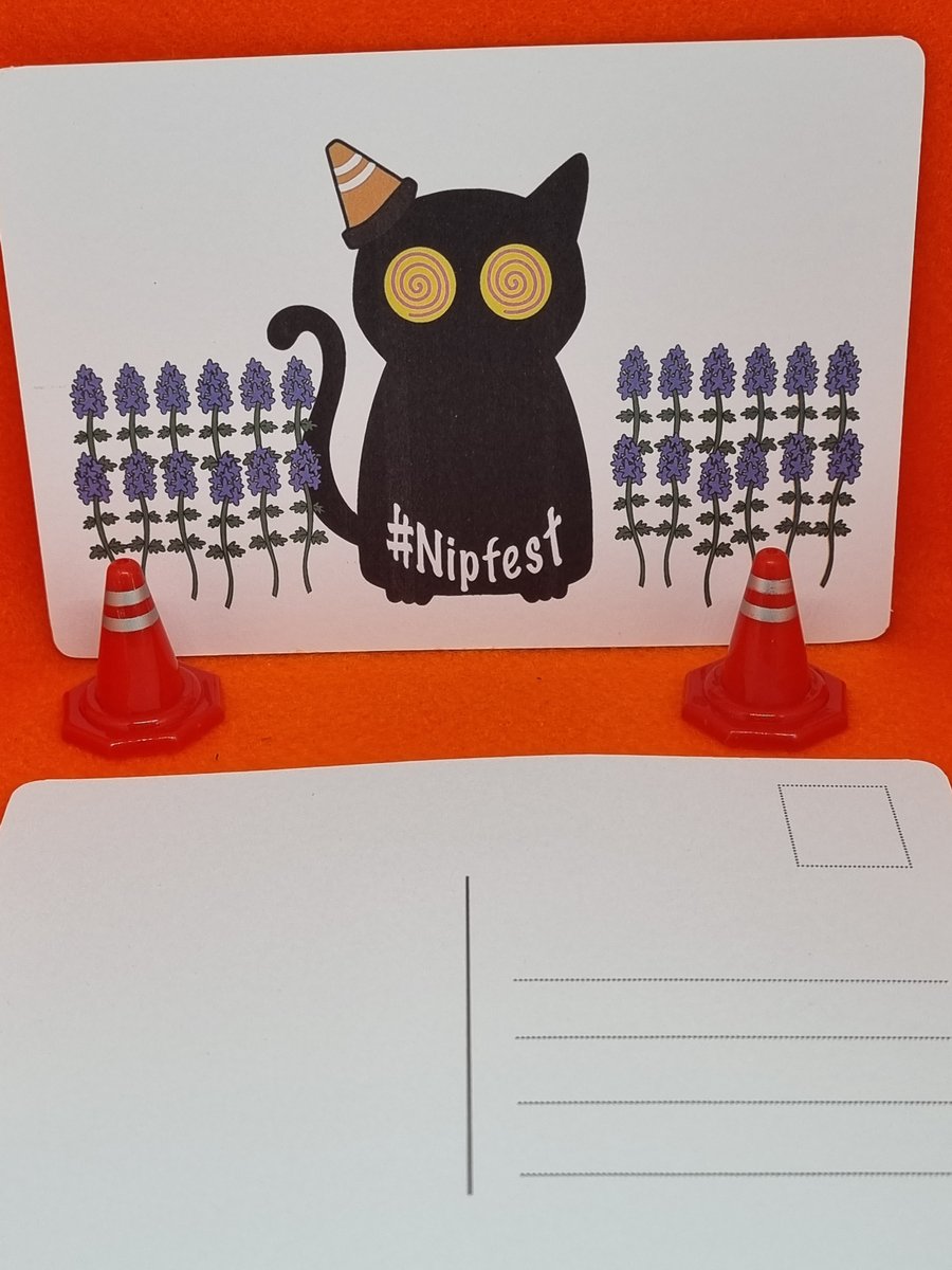 Nipfest under the influence cat postcard