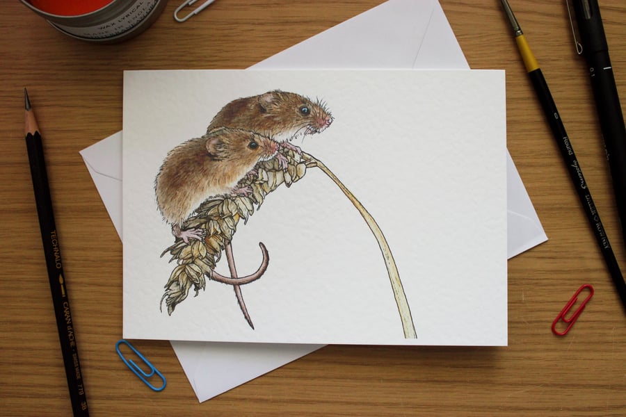 Harvest Mice Greeting Card -Blank Greeting Card, Wildlife Art Card, Free UK Post
