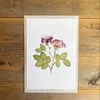 Rose flower art print